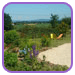 Le jardin