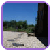 Le jardin